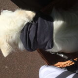 Foto van anja met Bobby(r.i.p. 25-9-25)