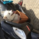 Foto van anja met Bobby(r.i.p. 25-9-25)