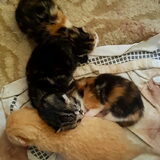 Foto van laura   Diva&Nova