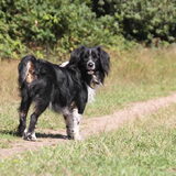 Foto van Naomi