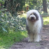 Foto van Naomi