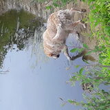 Foto van Malin & Kimmi