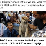 Foto van Nori met Chewy, Ayla, Leiah & Mace
