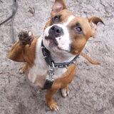 High Five!