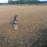 Foto van Jeanine :)