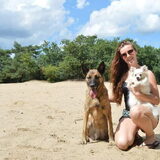 Foto van Dutchshepherdteam