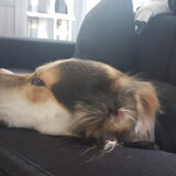 Foto van Rosanja