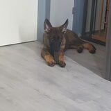 Foto van Rosanja