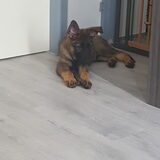 Foto van Rosanja