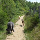 Foto van Dutchshepherdteam