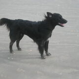 uitwaaien op het strand