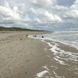 Foto van Lisa; Bobbie, Bentley & Lilly