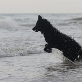 Foto van Lisa; Bobbie, Bentley & Lilly