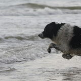 Foto van Lisa; Bobbie, Bentley & Lilly