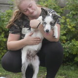 Foto van Lisa; Bobbie, Bentley & Lilly