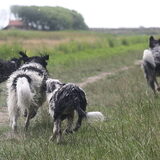 Foto van Angelique; Bruno, Charlie & Fenna