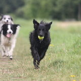 Foto van Angelique; Bruno, Charlie & Fenna