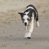 Foto van Angelique; Bruno, Charlie & Fenna