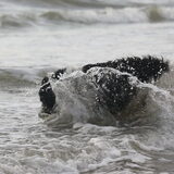 Foto van Angelique; Bruno, Charlie & Fenna