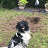 Foto van Doortje & Tibbe