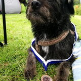 Foto van Ciska en Spanjaardje Moh (Bambi r.i.p.)