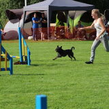 Foto van Ciska en Spanjaardje Moh (Bambi r.i.p.)