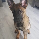 Foto van Rosanja
