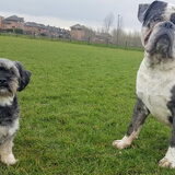 Foto van Desiree