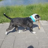 Foto van Desiree