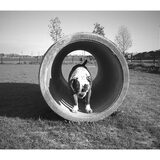 Foto van Desiree