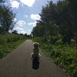 Foto van Kel