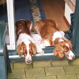 Foto van Oud-lid