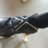 Foto van Jeanine :)