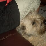 Roxy