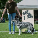 Foto van Angelique; Bruno, Charlie & Fenna