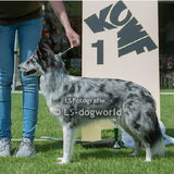 Foto van Angelique; Bruno, Charlie & Fenna