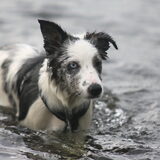 Foto van Angelique; Bruno, Charlie & Fenna