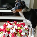 Foto van Angelique, Kleine Maybe en Tess <3