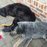 Foto van fabienne