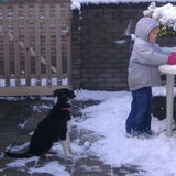 Hier zit riley te wachten tot ze een sneeuwbal krijgt