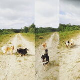 Foto van Marijke - Aila, Dinja & Evi