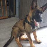 Foto van Rosanja