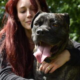 Foto van kimberley