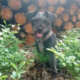 Foto van Ciska en Spanjaardje Moh (Bambi r.i.p.)