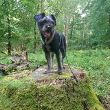 Foto van Ciska en Spanjaardje Moh (Bambi r.i.p.)