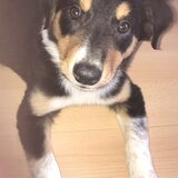 Foto van Baileyy