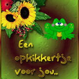 Speciaal voor Willemijn