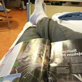 Foto van Indy haar bazin.