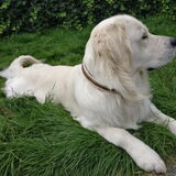 Foto van Kel