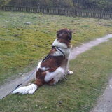 Foto van Coby & Wanda en Mathilde
